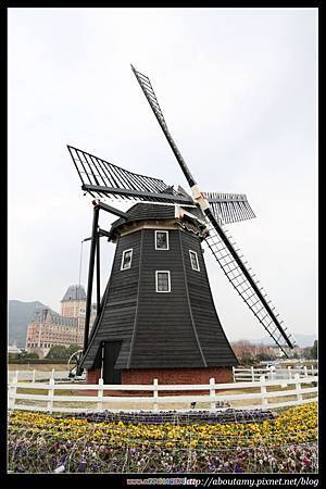 IMG_8780.JPG IMG_8780.JPG