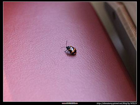 IMG_0293.JPG IMG_0293.JPG