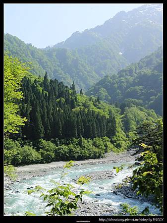 IMG_0347.JPG IMG_0347.JPG