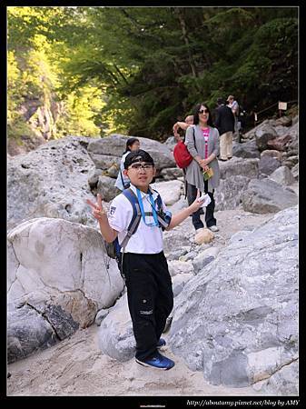 IMG_0371.JPG IMG_0371.JPG