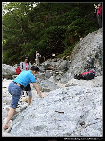 IMG_0375.JPG IMG_0375.JPG