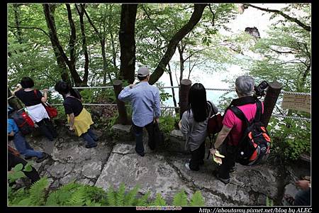 _MG_0505.JPG _MG_0505.JPG