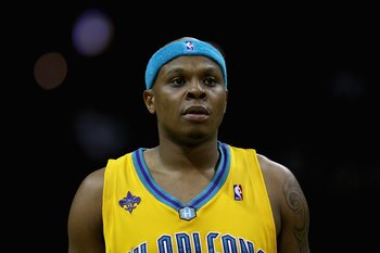 bonzi wells bonzi wells