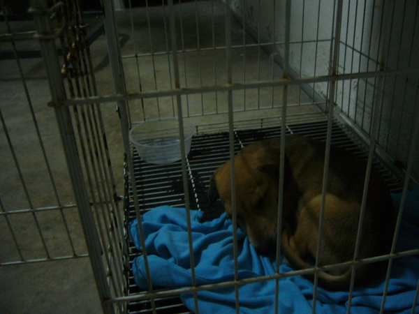 P1110754.JPG P1110754.JPG