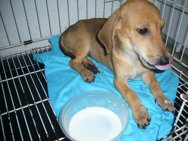 P1110755.JPG P1110755.JPG