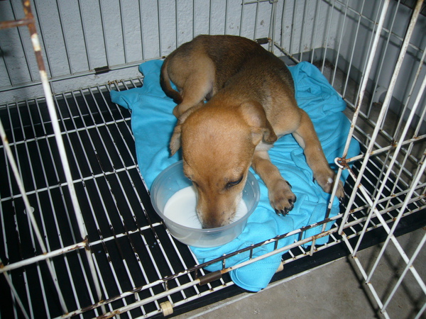 P1110756.JPG P1110756.JPG