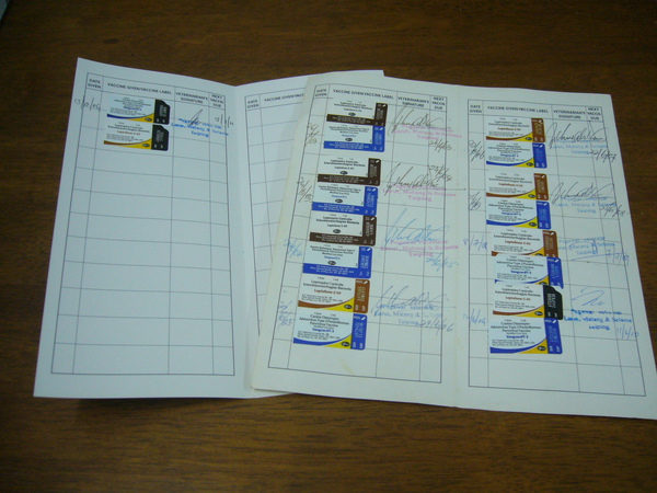 P1110773.JPG P1110773.JPG