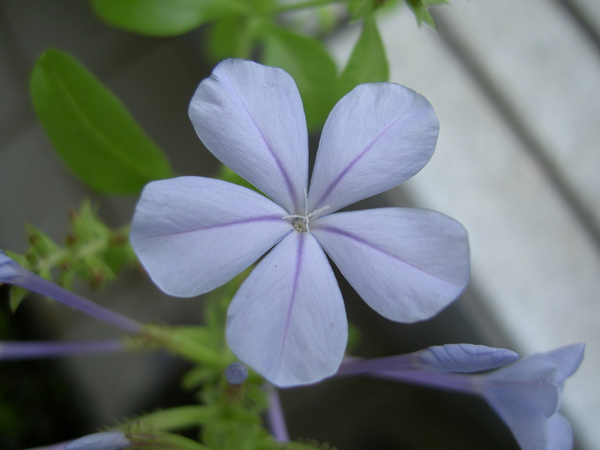 PICT0632.JPG PICT0632.JPG