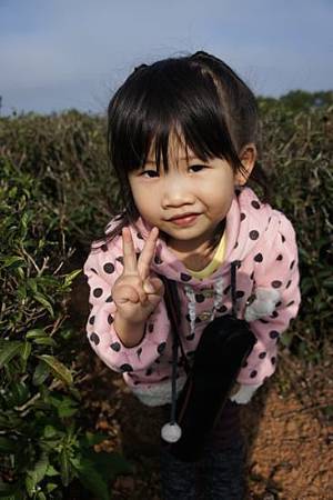 20120129.jpg 20120129.jpg