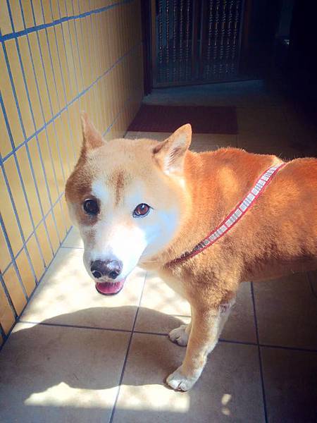 10437395_10205667612787436_2792521004049253499_n.jpg 10437395_10205667612787436_2792521004049253499_n.jpg