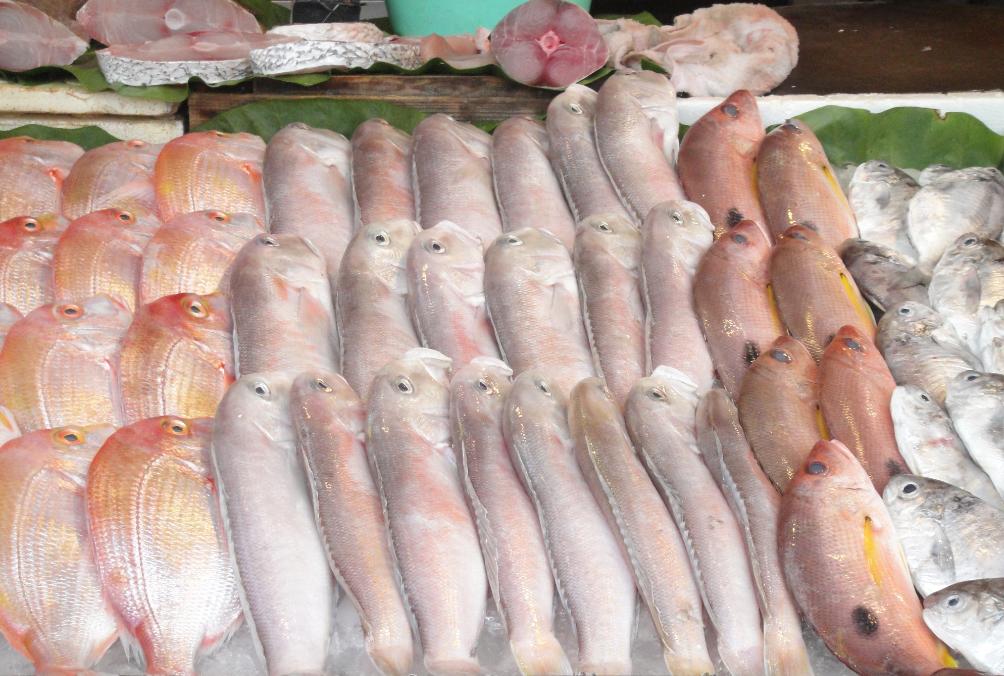 北投石牌商城商圈早午晚夜市