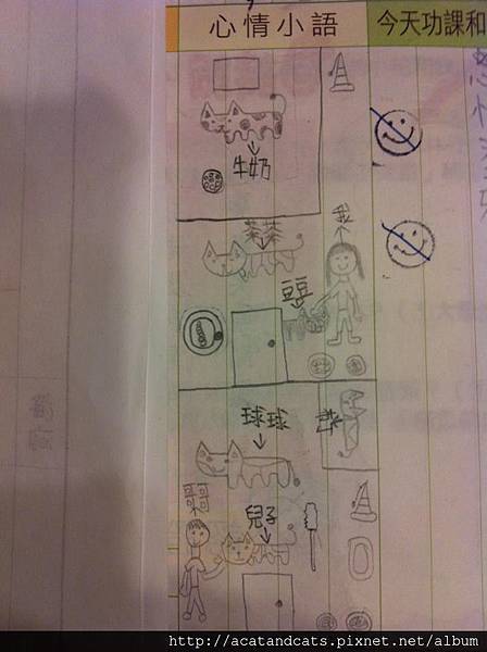 【貓咪日記】小學生在聯絡簿畫「貓咪日記」 老師好感動 【貓咪日記】小學生在聯絡簿畫「貓咪日記」 老師好感動