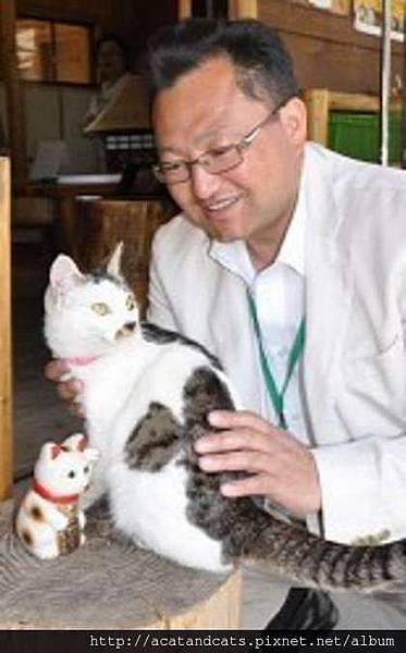 貓站長ぶぶこ。翻攝網路 貓站長ぶぶこ。翻攝網路