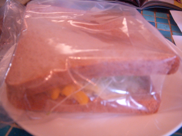 DSCN3925.JPG DSCN3925.JPG