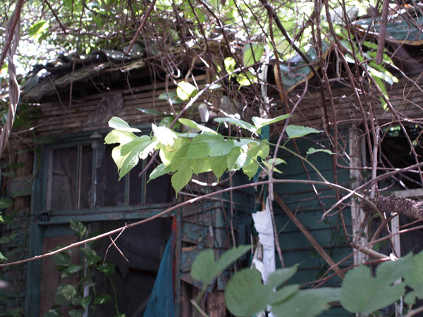 2010090204.jpg