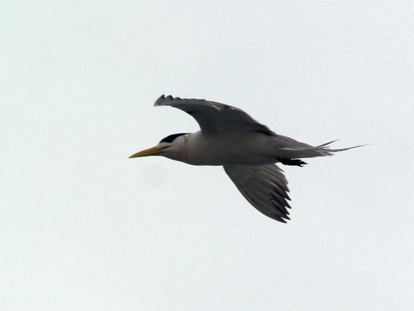 2011063002.jpg