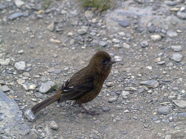 2011071102.jpg
