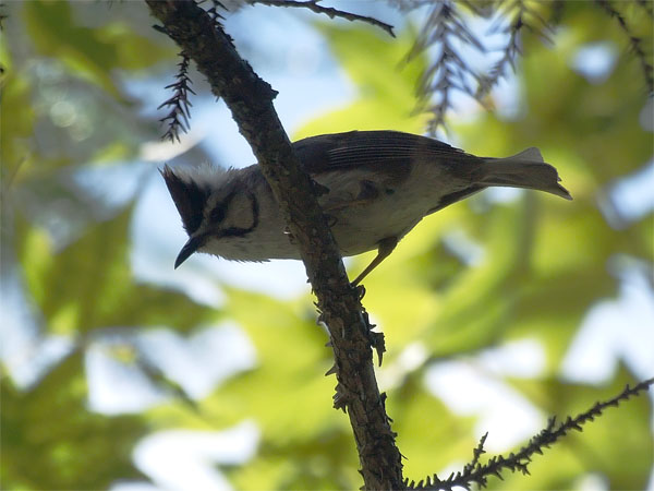 2011071802.jpg