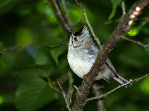 2011071803.jpg