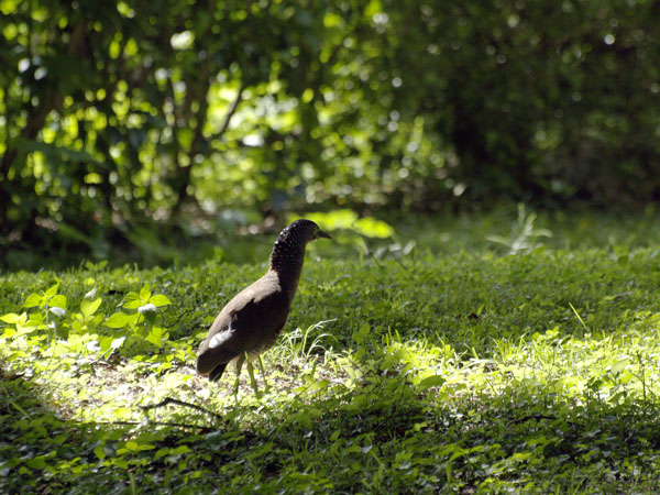 2011072303.jpg