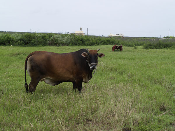 2011072504.jpg