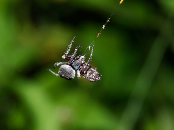 2011072801.jpg