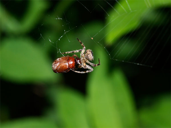 2011072802.jpg