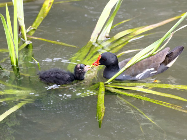 2011073002.jpg
