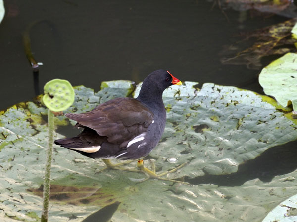 2011073003.jpg