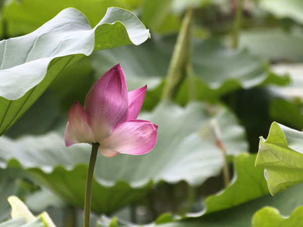 2011073101.jpg