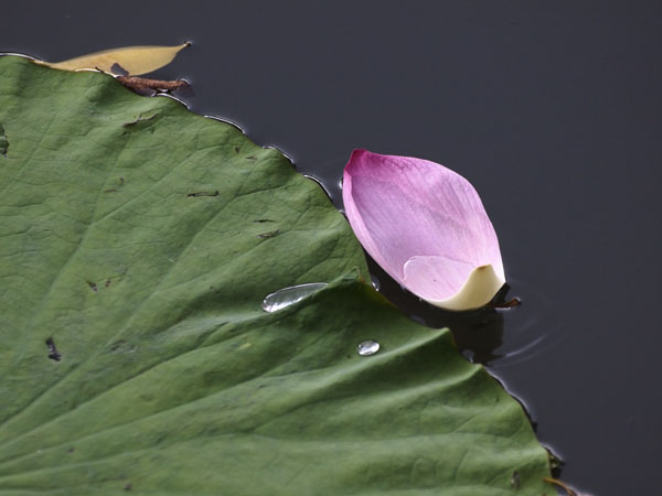 2011073102.jpg