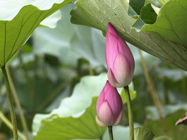 2011073103.jpg