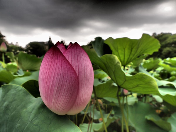 2011073104.jpg