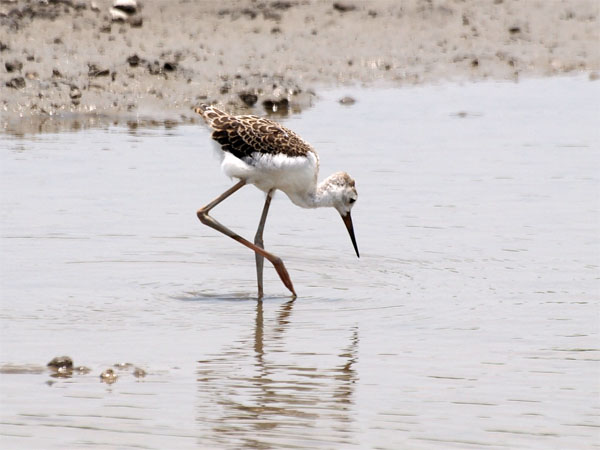2011080203.jpg