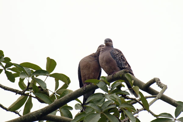 2011080701.jpg