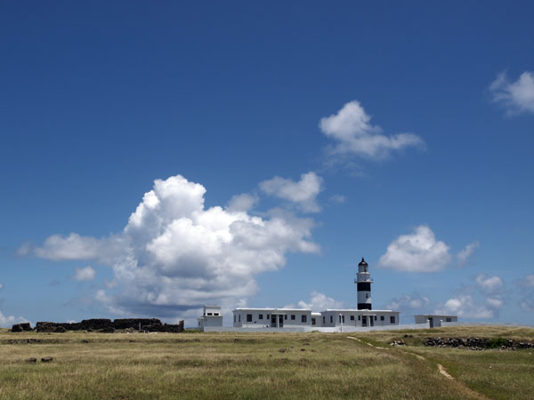 2011081601.jpg