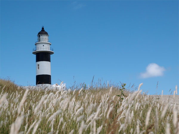 2011081603.jpg