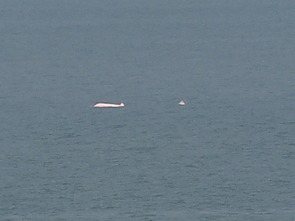 2011082302.jpg