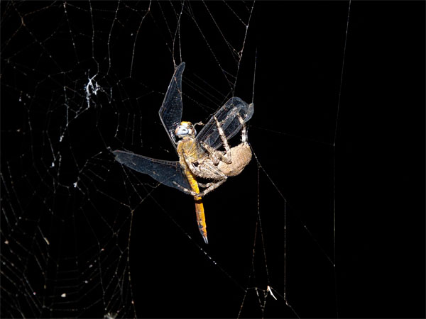 2011082401.jpg