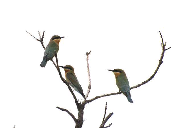 2011082501.jpg