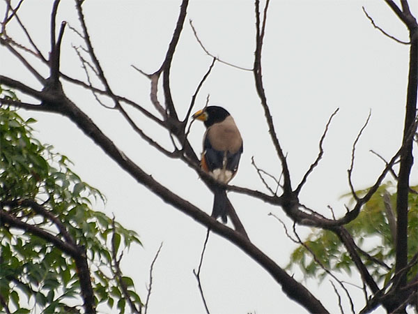 2011082503.jpg