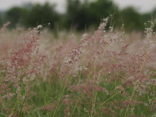2011082601.jpg