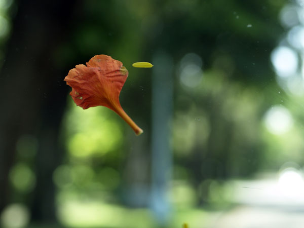 2011090101.jpg