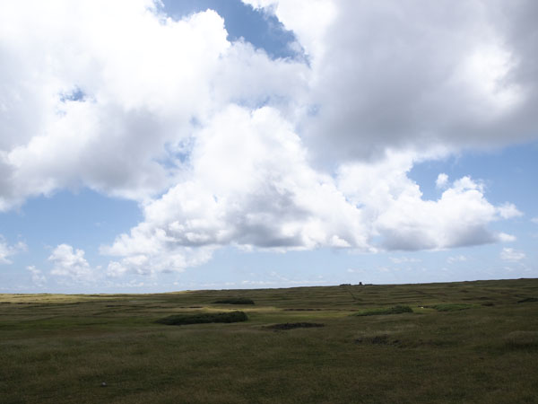 2011090601.jpg