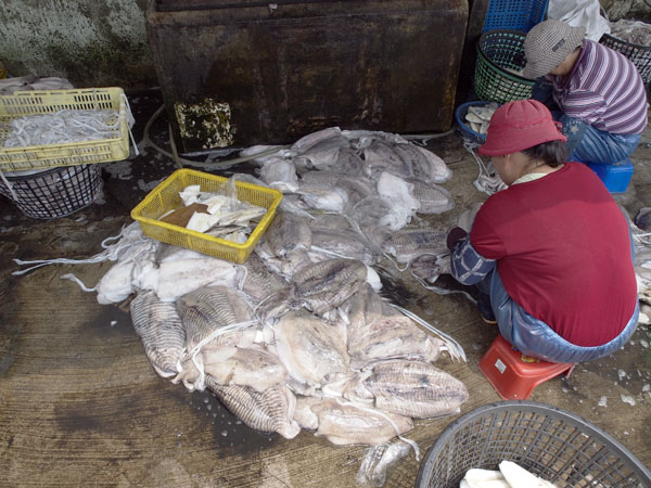 2011091204.jpg