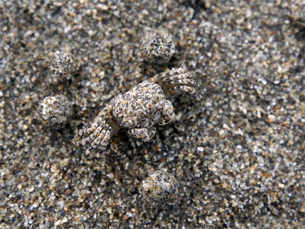 2011101004.jpg