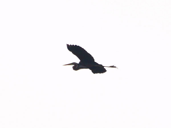 2011102002.jpg