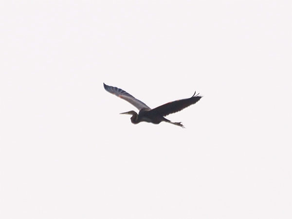 2011102001.jpg