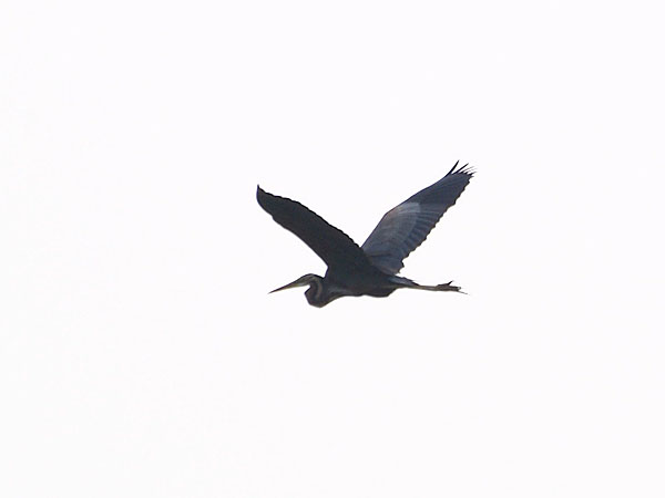 2011102004.jpg
