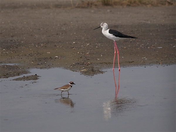 2011102303.jpg